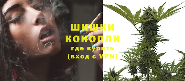 шишки Иннополис