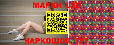 дурь Гай