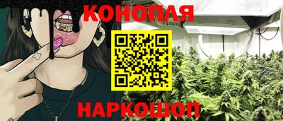 прущие грибы Гагарин
