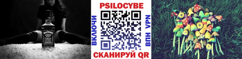 Псилоцибиновые грибы мицелий  Камышлов 