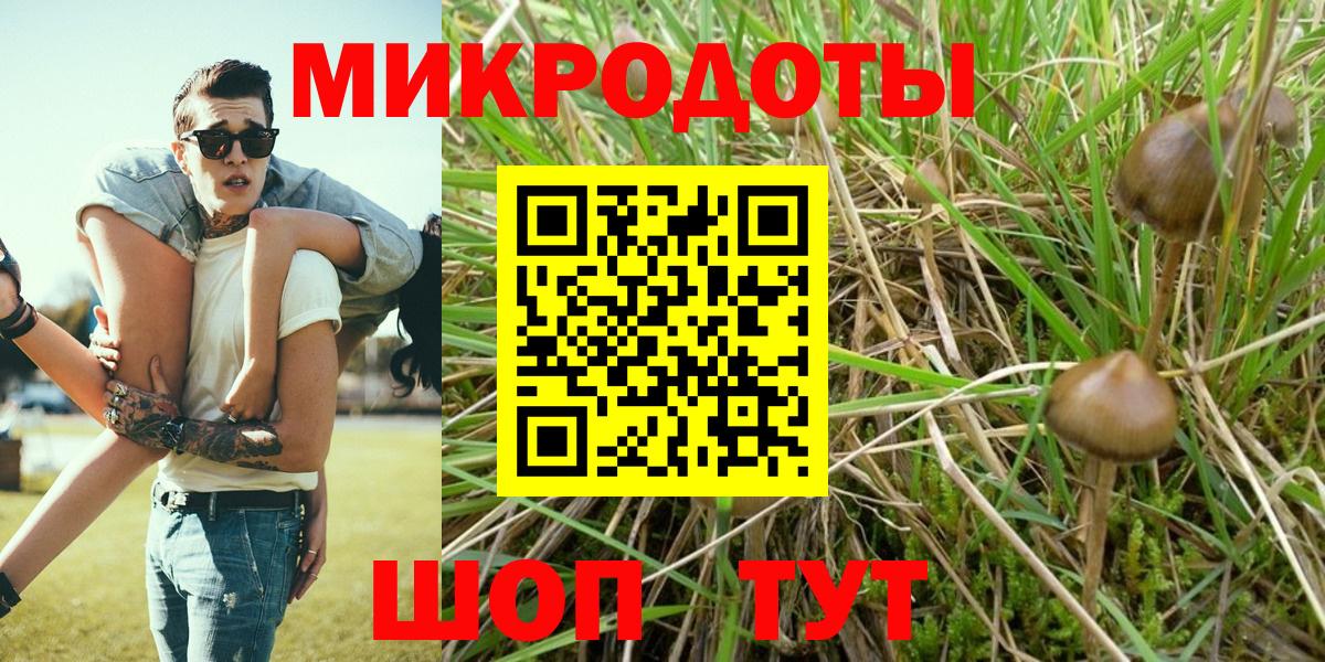 Галлюциногенные грибы Psilocybe  Камышлов  Псилоцибиновые грибы Magic Shrooms 
