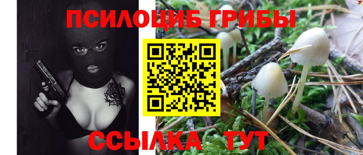 Галлюциногенные грибы прущие грибы Камышлов