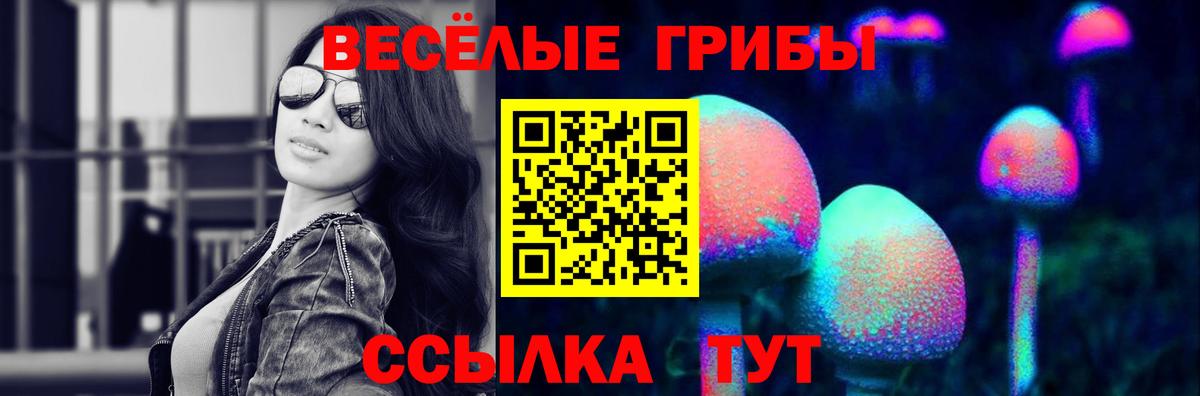 Галлюциногенные грибы GOLDEN TEACHER  Вход с VPN  Камышлов 