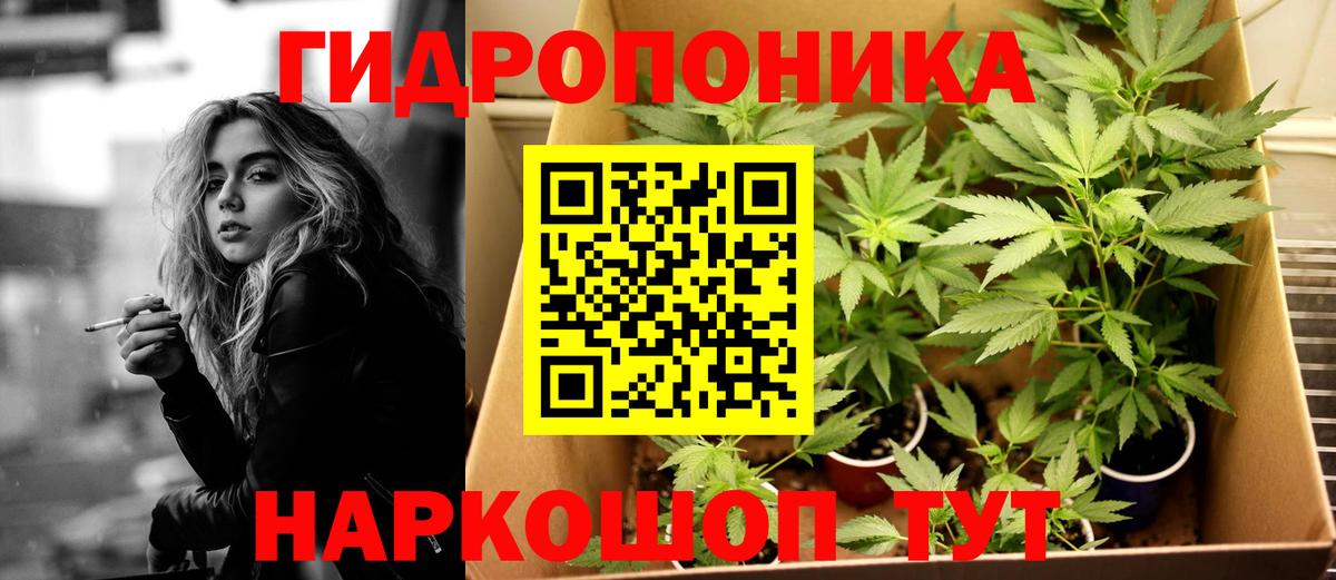 МАРИХУАНА планчик Камышлов